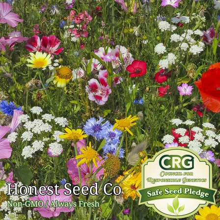 Honest Seed 400 23 Varieties Wild Flower Seeds, Non-GMO Perennial