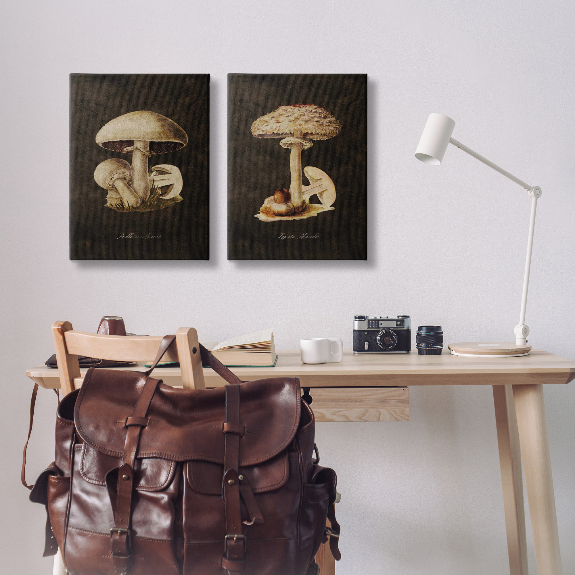 Stupell Industries Vintage Mushrooms on Black Plants & Flowers Painting Wrapped Canvas Art Print Wall Art, 20 x 30, Set of 2