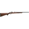 DO NOT PUBLISH Ruger 7002 77/22R .22 Long Rifle Walnut Stock, 10+1 20", Blued