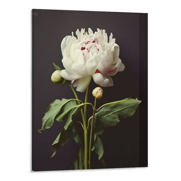 PRATYUS Peony Flower Canvas Wall Art Flowers on Black Background Painting Black and White Rose Picture Black and White Flower Prints Vintage Peony Poster Vintage Plant Artwork Decor 16x20inch