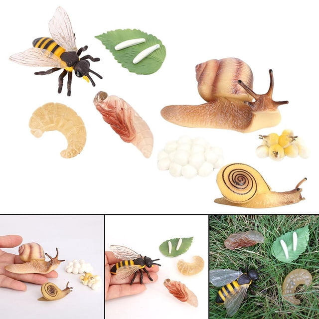 Juego de crecimiento de insectos para niños CUTICAT caracol de juguete