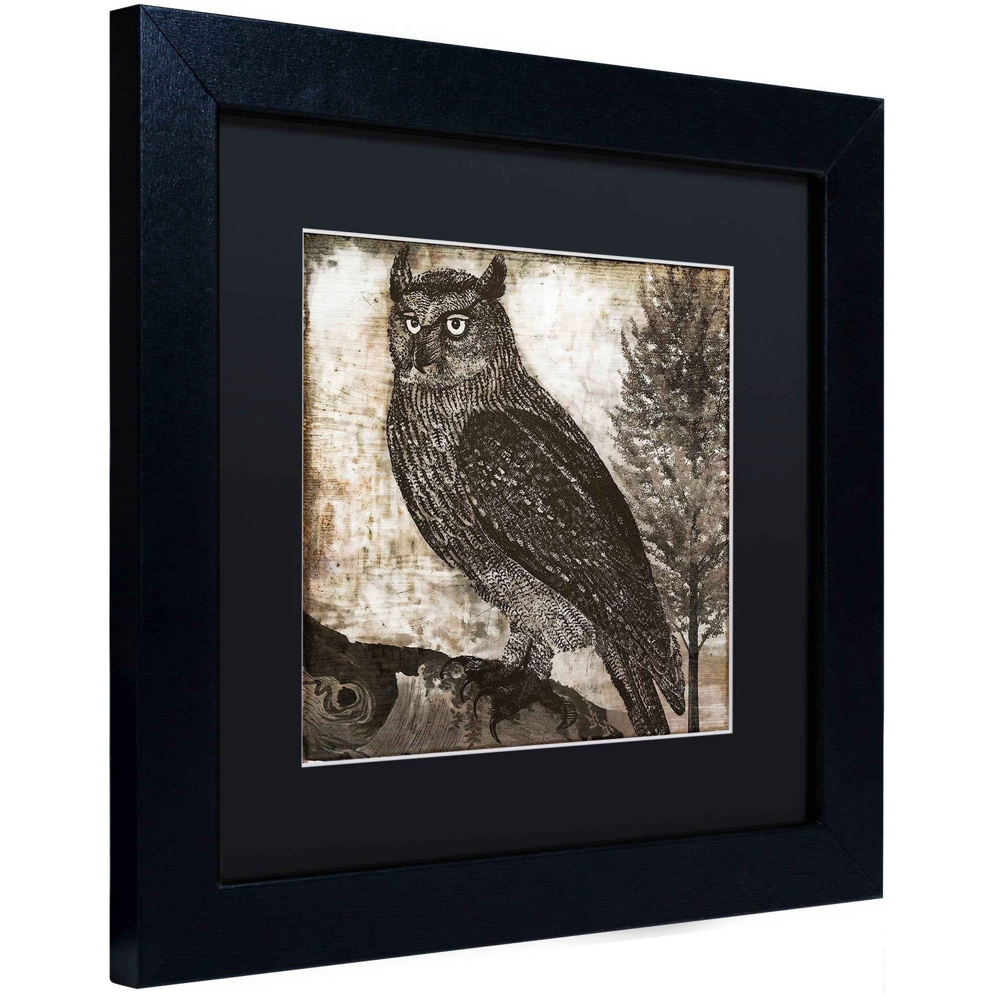 Trademark Fine Art "Owl 2" Canvas Art by Color Bakery Black Matte, Black Frame