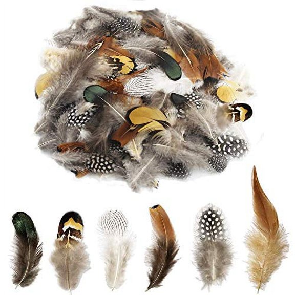 200pcs 10 Style Natural Feathers Assorted Mixed Feathers for Dream Catcher Crafts Decoration (10 Styles - 200 Pcs)