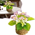 thumbnail image 2 of Small Artificial Potted Flowers in Woven Basket, Realistic Fake Plants with Green Leaves & Multicolor Blooms, Indoor Decor for Home Office Tabletop, Bathroom Shelf, Farmhouse & Boho Style, 2 of 7