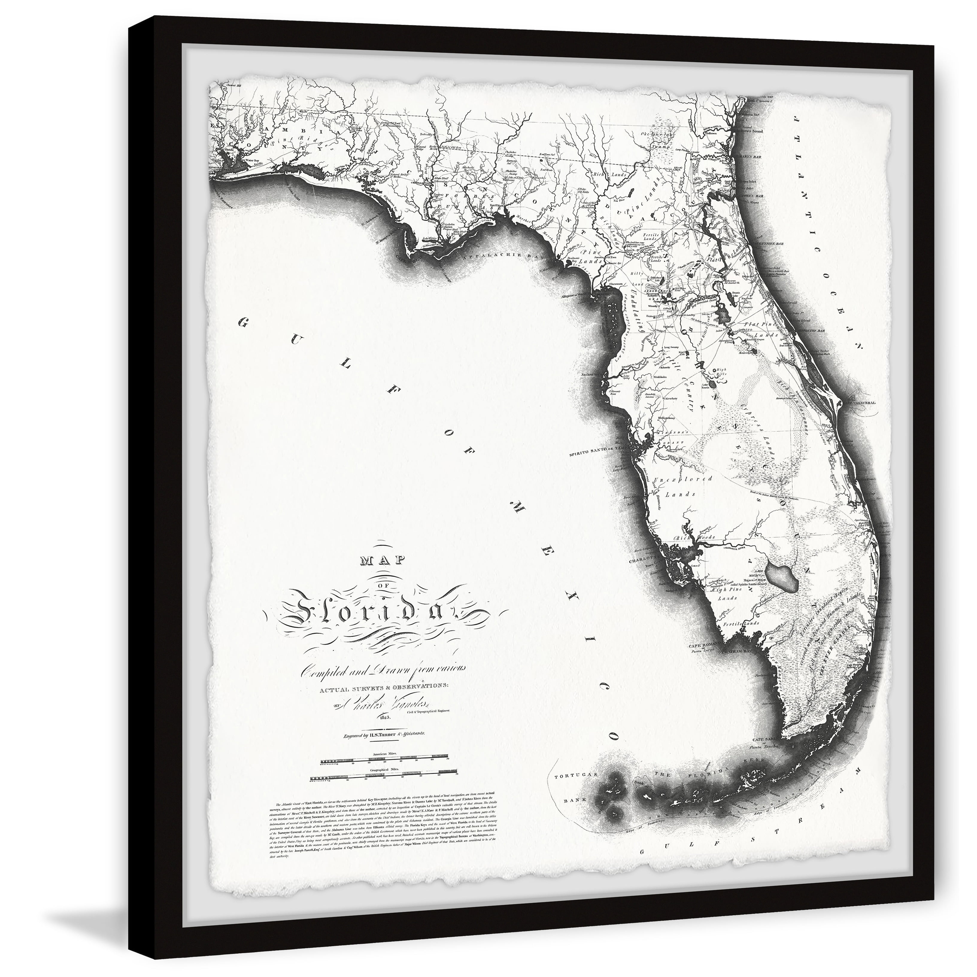 Marmont Hill Florida 1823 State Map II Framed Wall Art, 24" x 24"