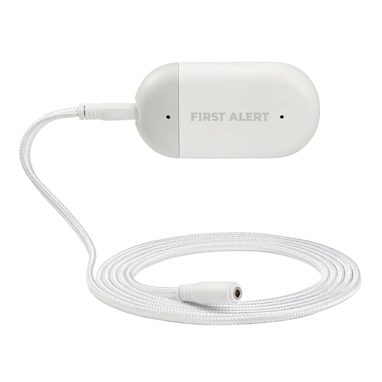 Honeywell Home L1 Wi-Fi Water Leak Detector photo 1