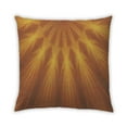 thumbnail image 1 of Ahgly Company Indoor Square Contemporary Throw Pillow, 18 inch by 18 inch, 1 of 5