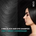 thumbnail image 3 of REVO Professional Care Hair Dye Shampoo 3-in-1 for Gray Hair Coverage, Permanent Herbal Packets with Argan Oil, Black, 10 Pack, 250ml, 3 of 7