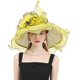 thumbnail image 1 of Women's Kentucky Derby Church Dress Hat Wide Brim Leaf Flower Bridal Shower Hat, 1 of 5