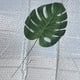 thumbnail image 3 of 5 UNIDS / PAQUETE Hojas De Monstera Hojas Faux Planta Artificial Árbol Hoja Para para hogar Decoración Del S Macarena Simulación de hojas artificiales, 3 of 8