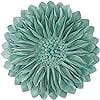 eggshell blue