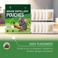 thumbnail image 7 of 10-Pack Natural Plant Essential Oil Rodent Repellent Patches for Home and Outdoor Use, Safe and Non-Toxic with Long-Lasting Protection, 7 of 7