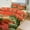 chudan-3, variant on Fruit Bedding Sets Twin Duvet Cover 3 Piece Cute Bed Set for Boys Girls Kid