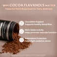 thumbnail image 5 of BFQN High Flavanol Cocoa Powder – 1200mg Flavanols & Flavonoids per Serving, Nitric Oxide & Energy Support, Vegan, 10x More Epicatechin Than Regular Cocoa, 5 of 9