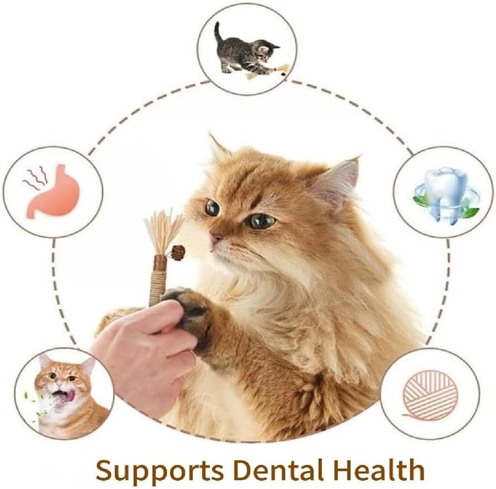 Elystria Silvervine, Elystria Natural Silvervine Dental Sticks, Silvervines Sticks for Cats, Interactive Kitten Chew Playthings, Pets Cat Chew Stick Toy, for Cats Teeth Cleaning