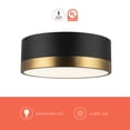 thumbnail image 3 of FM556212AGMB-Alora Lighting-Brisbane - 2 Light Flush Mount-4.13 Inches Tall and 12 Inches Wide-Aged Gold/Matte Black Finish, 3 of 7