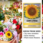 Skyscraper Sunflower Seeds