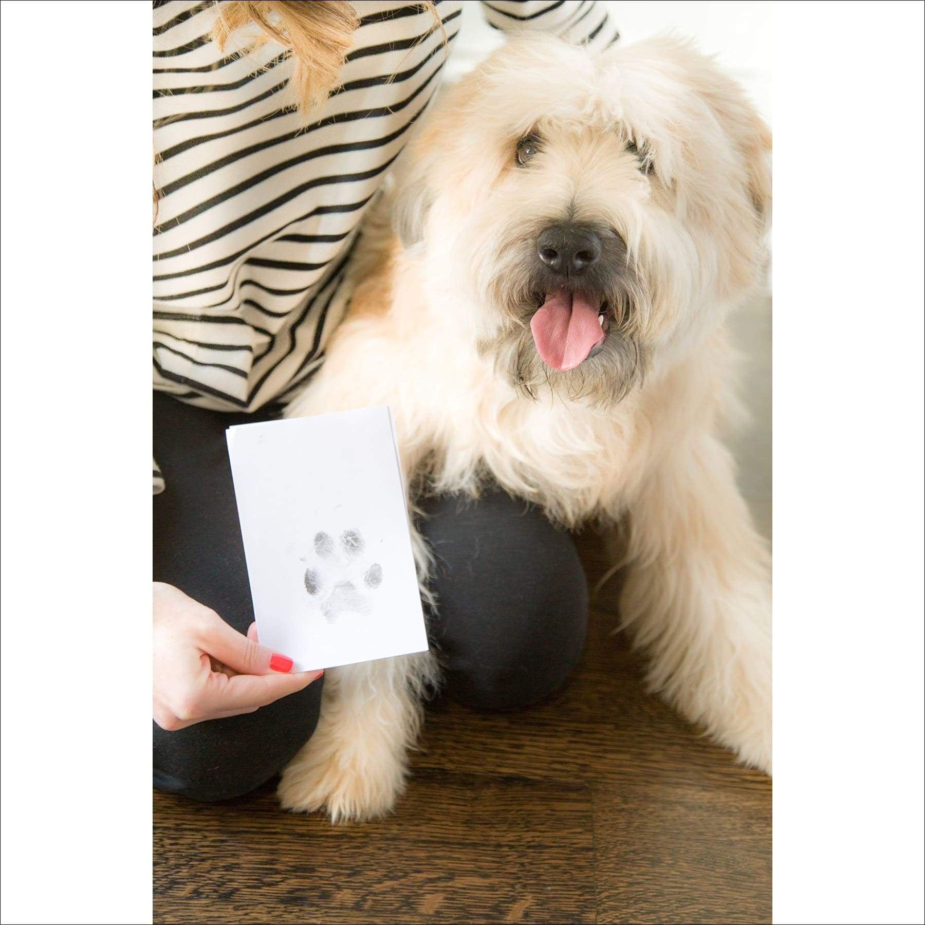 dog ink pad