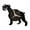 Brown-without LED, variant on Dachshund Dog Vinyl Record Wall Clock for Kitchen Wall Decor Wall Art Gift for Lover Gift Idea for a Best Friend(P,with LED)