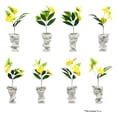thumbnail image 3 of Maceta Tipo David Decorativa Impremli, 3 of 7
