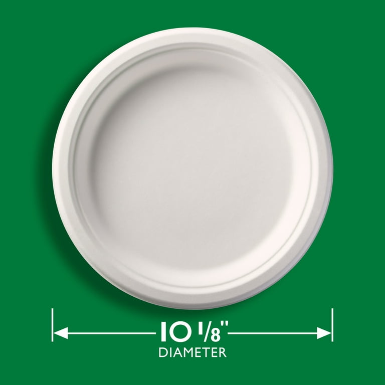 Hefty® Elegantware® Disposable Plates, Household, My Commissary