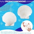 thumbnail image 4 of 100 Piezas de Conchas de Mar para Elaborar Conchas de Vieiras Grandes Naturales Conchas de Ostras Blancas A Granel para Decorar la Playa del Hogar de Bricolaje, 4 of 5