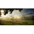 thumbnail image 2 of Head, Danny 24x14 Gold Ornate Wood Framed with Double Matting Museum Art Print Titled - Running in the Mist, 2 of 4