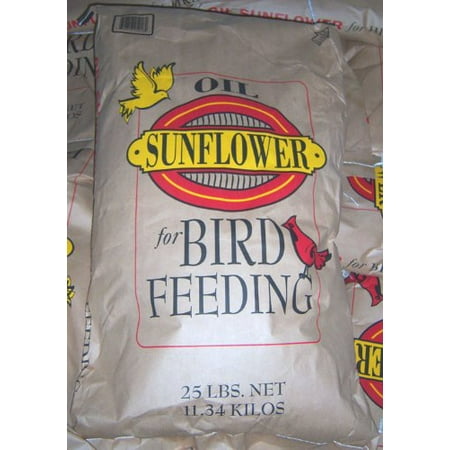 black sunflower seeds walmart black sunflower bird seed walmart black sunflower seeds walmart black sunflower bird seed walmart