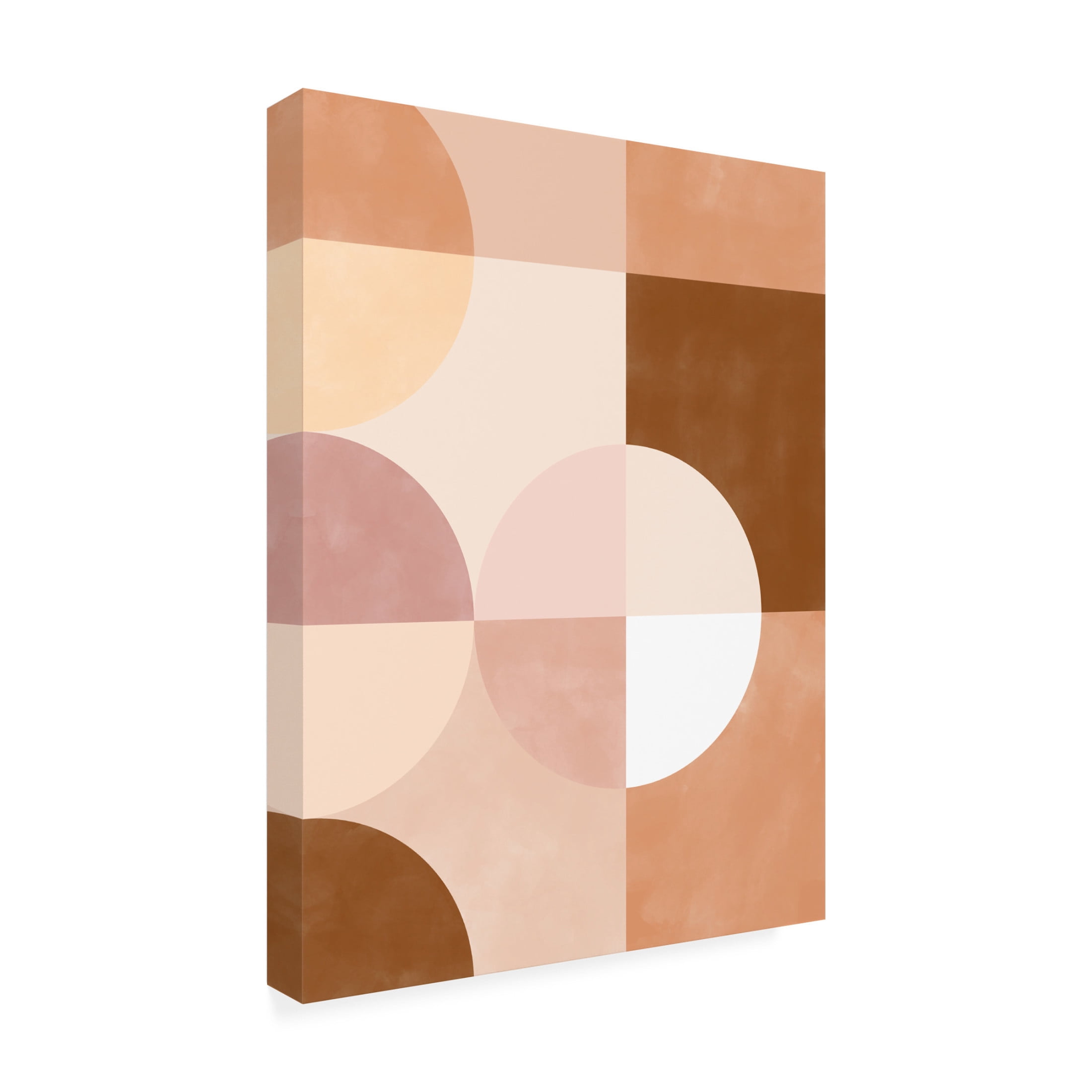 Trademark Fine Art Elena Ristova  softpink37 Canvas Wall Art