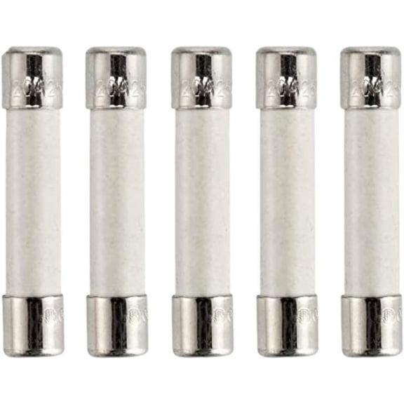 Scaroo WB27X10928 Microwave Fuse Fit for GE Replaces with 1262970 5-Pack