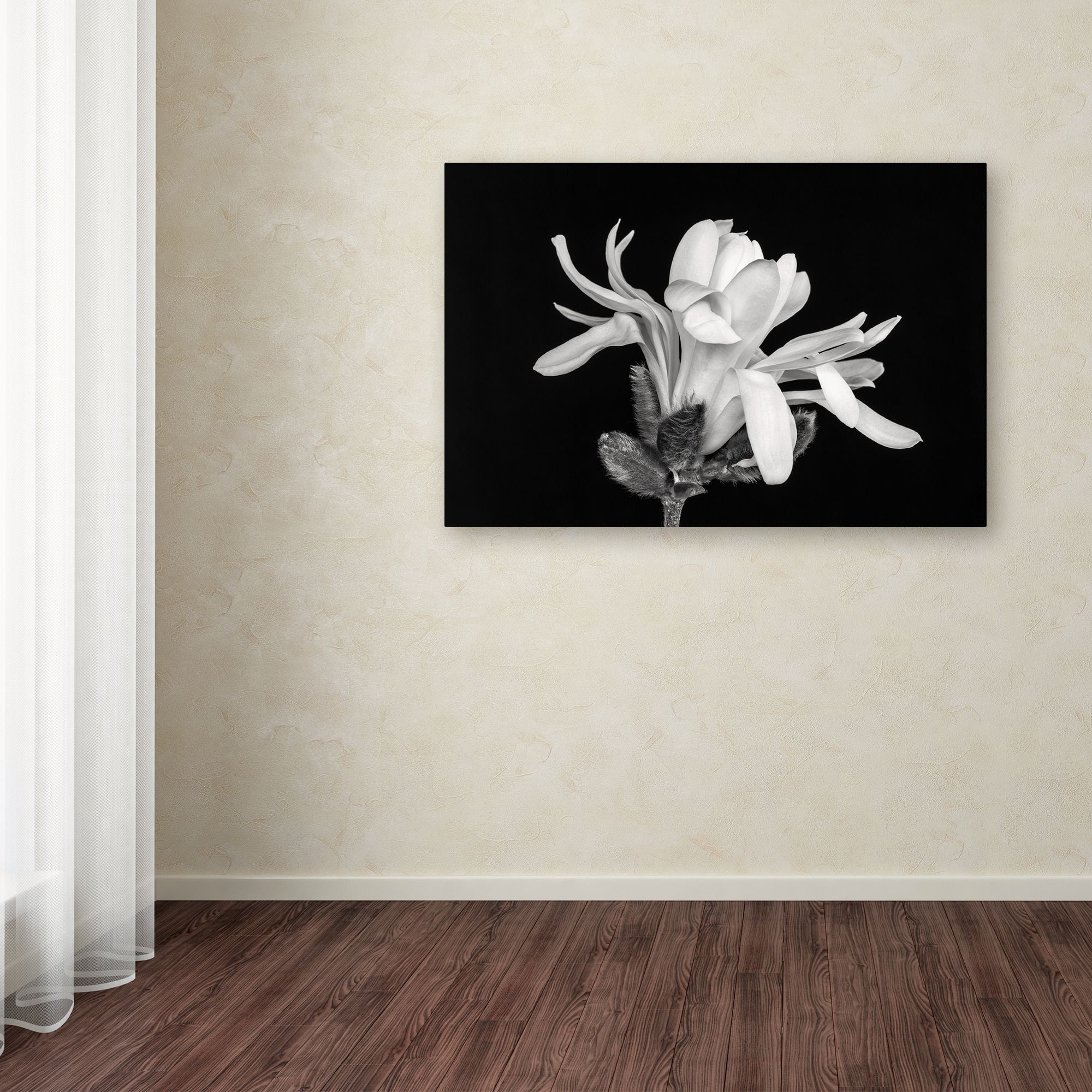 Pierre Leclerc 'Magnolia Flower' Canvas Art 16 x 24