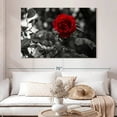 thumbnail image 2 of Elephant Stock Lone Rose Pop Wall Art - Horizontal Canvas Wall Art - Living Room Wall Decor - Floral And Botanical Canvas - Black And Gray Decor - 51" x 34", 2 of 8
