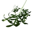 thumbnail image 2 of Briful Fake Olive Branches in Rustic Metal Vase 36.22'' Faux Olive Greenery Stems Artificial Potted Plant for Farmhouse Home Living Room Bathroom Kitchen Table Centerpiece Decor (6 Crosses Green), 2 of 4
