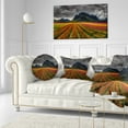 thumbnail image 3 of Designart Beautiful Colored Tulips Panorama - Landscape Printed Throw Pillow - 12x20, 3 of 5