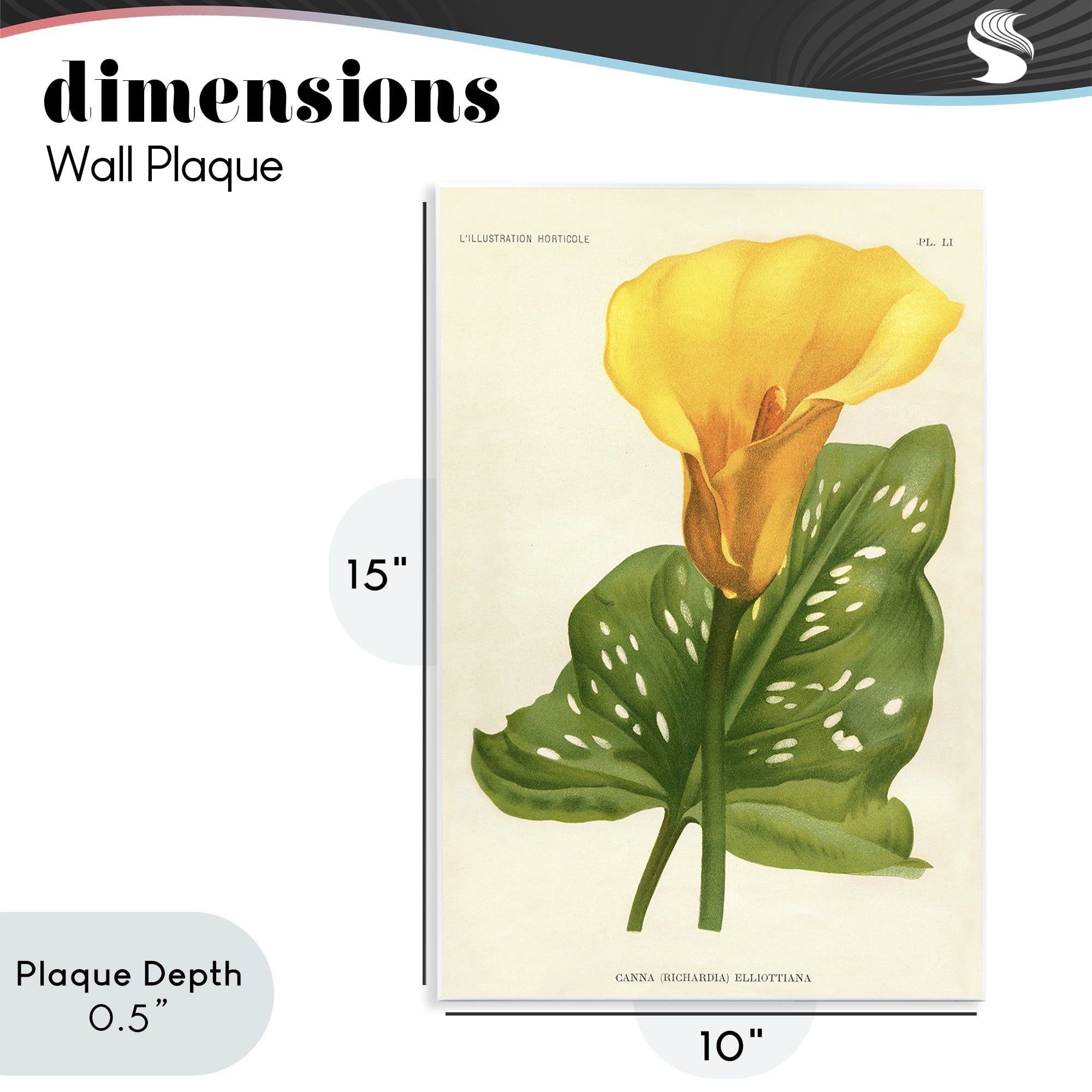 Stupell Industries Yellow Canna Lily Wall Plaque Art, design by Print Collection