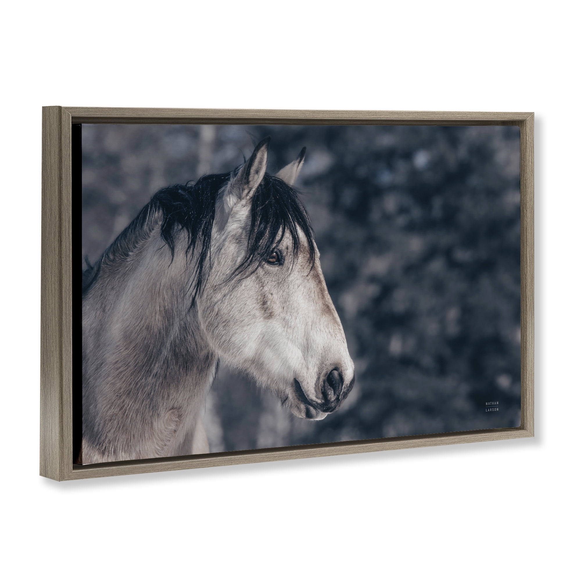 Stupell Industries Intense Gaze Stallion Animals & Insects Photography Brown Floater Framed Canvas Art Print Wall Art, 25 x 17