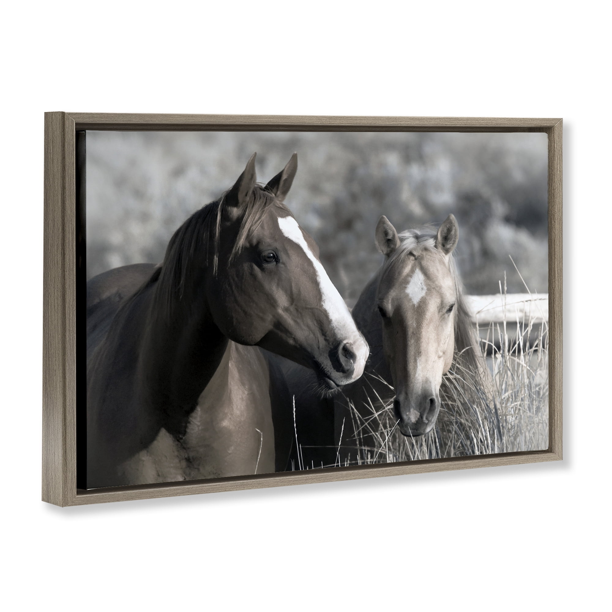 Stupell Industries Content Horses In Pasture Brown Framed Floater Canvas Wall Art, design by Danita Delimont