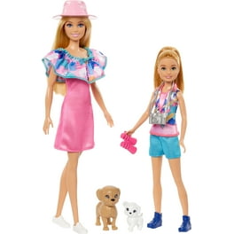 Barbie Team Stacie Doll Smoothie Playset with Accessories Walmart