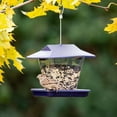 thumbnail image 3 of More Birds Ranch Hopper Feeder - 1.7lb Capacity, 3 of 4