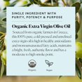 thumbnail image 5 of Organic Extra Virgin Olive Oil for Cooking, 100% Pure Cold Pressed USDA Certified and Unfiltered, Bright, Fresh Autentic Flavor, Sourced from Small Organic Farmers in Greece, 16.9 fl oz, 5 of 5