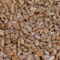thumbnail image 3 of BBQ Honey Roasted Sunflower Seeds by It's Delish, 1lb Bulk  Gourmet Sunflower Seeds in Honey Sugar Coating and Barbecue Seasoning, Sweet & Savory Seed Snack - Vegan, Kosher Parve, 3 of 5