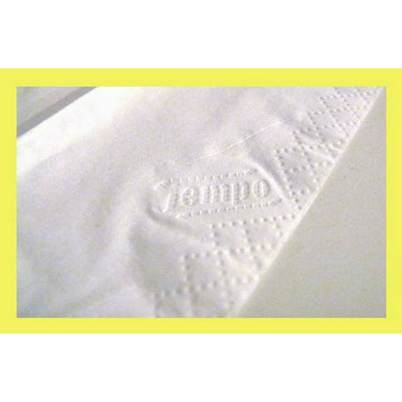 10 PACKS GENUINE TEMPO TISSUES REFILLS FOR CAR VISOR TISSUE REFILL WIPE
