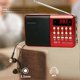 thumbnail image 2 of Rechargeable Mini Digital Portable FM Radio USB MP3 Music Player SD Card Speaker, 2 of 5