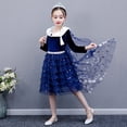 thumbnail image 1 of Girls Fancy Princess Costume Deluxe Dress Up Cosplay Party Dresses, 1 of 5