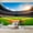 Color 3, variant on Wallpaper Vintage Baseball Bat Worn Baseball Rustic American Flag Wood Peel and Stick Wall Murals 69"H x 96"W Removable PVC Wall Paper Self-Adhesive Wall Paintings Art Decor for Bedroom Living Room