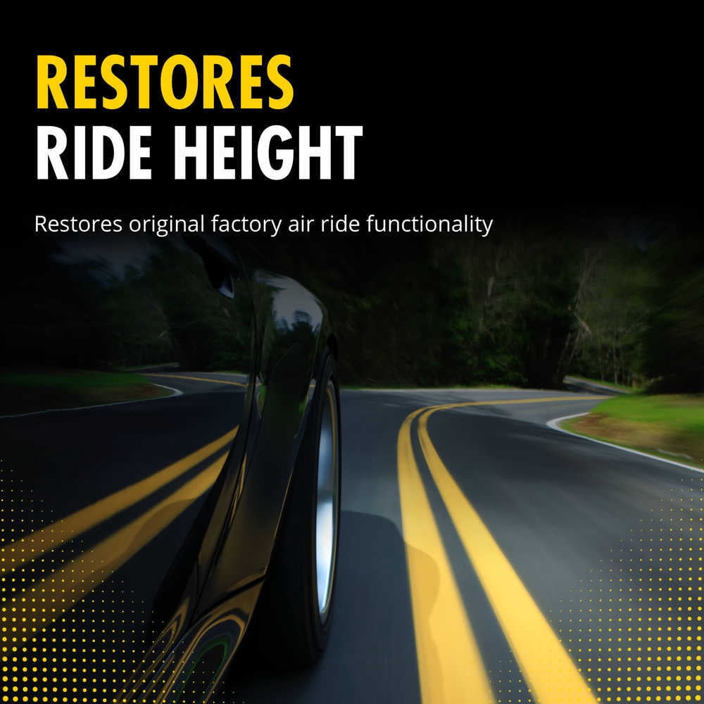 Monroe Shocks & Struts 40321 OESpectrum