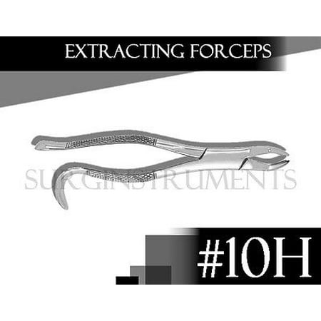 Extracting Forceps Dental Surgical Instruments 10H