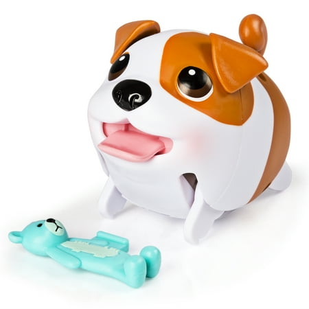 puppies walmart puppies single pack bulldog walmart puppies walmart puppies single pack bulldog walmart