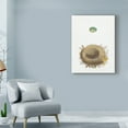 thumbnail image 3 of Trademark Fine Art 'Spring Nest I' Canvas Art by Wild Apple Portfolio, 3 of 3