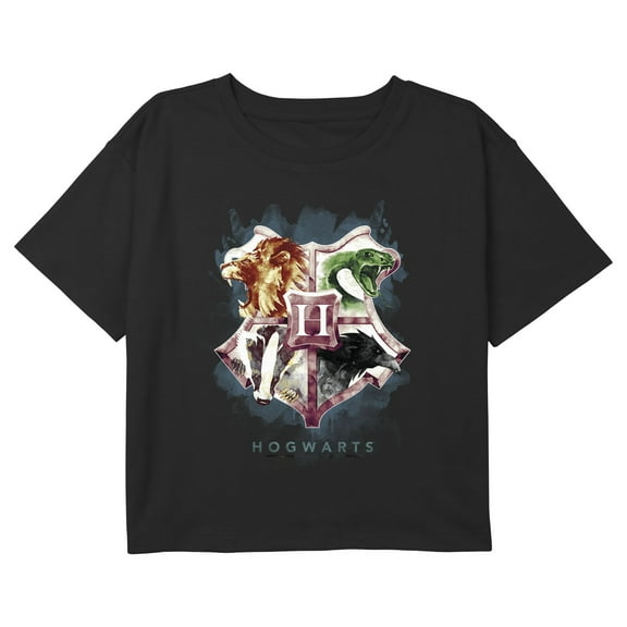Girl's Harry Potter Hogwarts Watercolor House Symbols Graphic Cropped T-Shirt Black X Large
